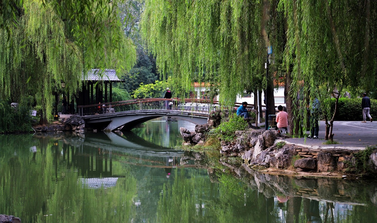 西苑公园7