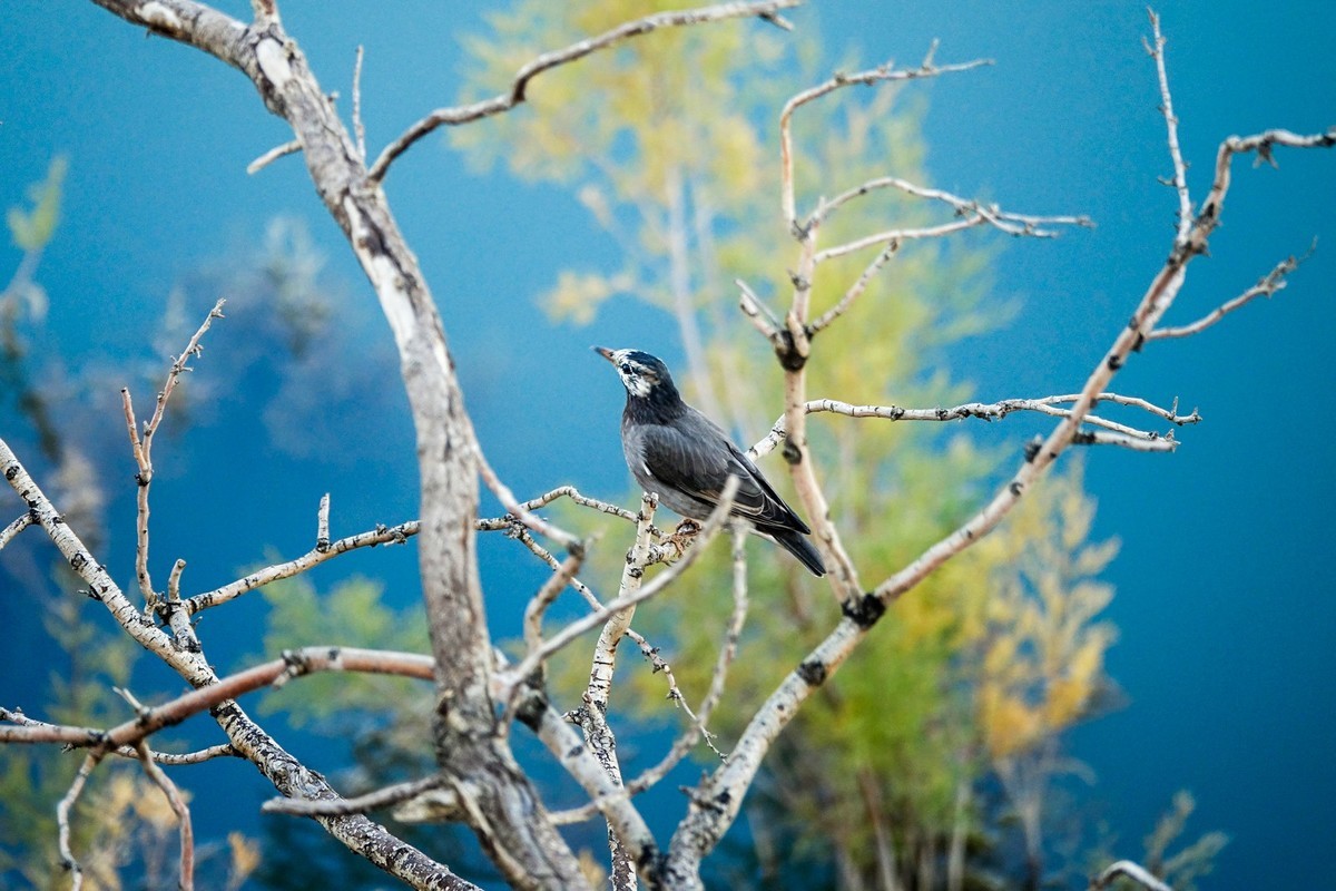 十一出去溜达之玉门赤金峡（上）