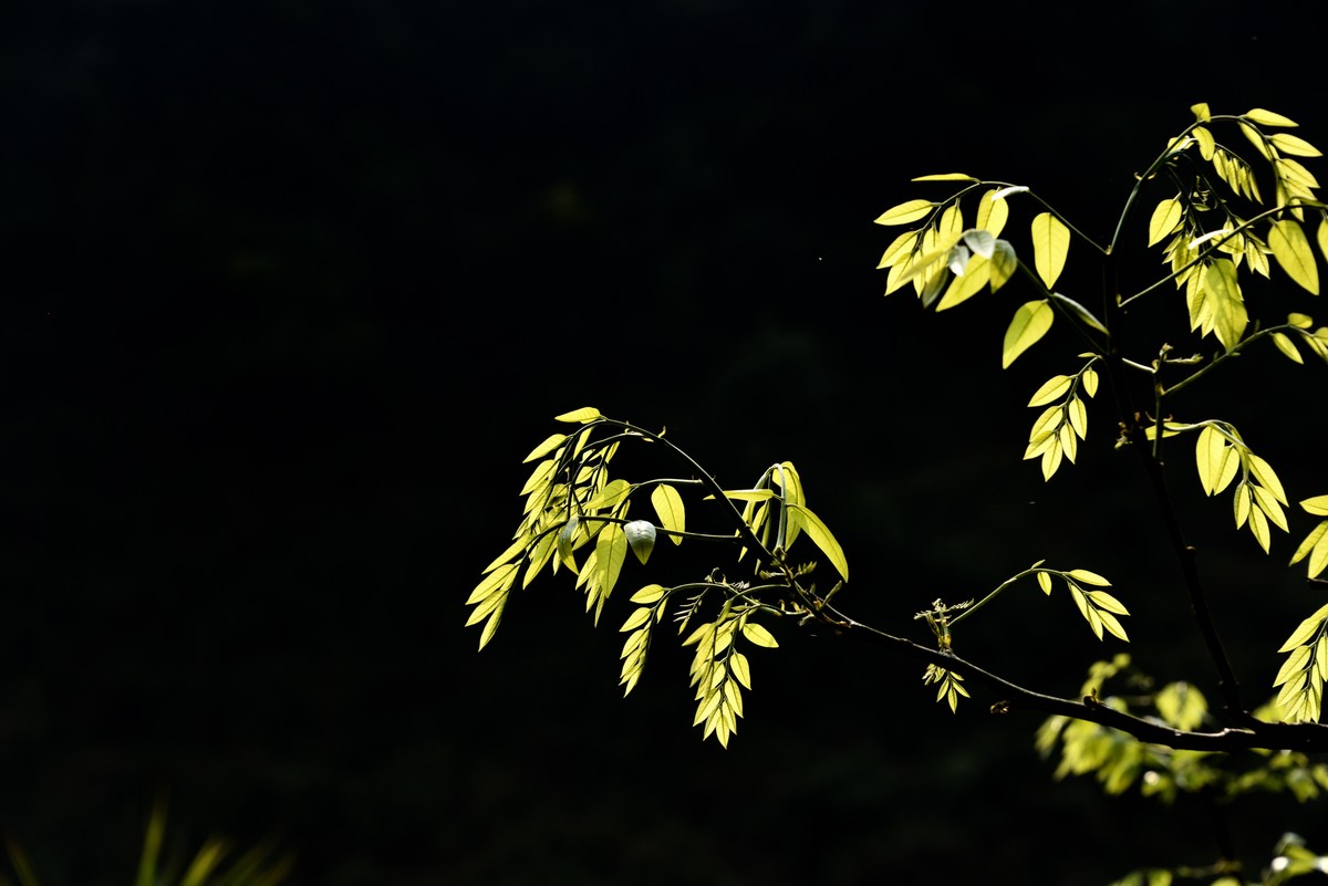 罗平九龙瀑布群风光【2】