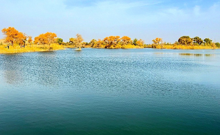 《不老松：纪实摄影》【山河锦绣】南疆游摄！(5)尉犁县罗布人村寨塔里木河！