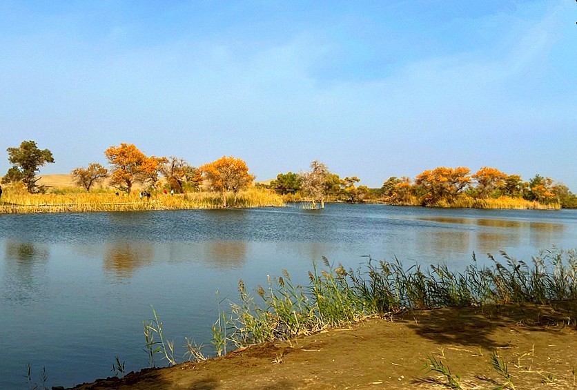 《不老松：纪实摄影》【山河锦绣】南疆游摄！(5)尉犁县罗布人村寨塔里木河！