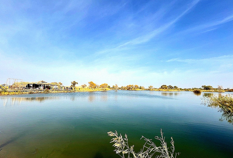 《不老松：纪实摄影》【山河锦绣】南疆游摄！(5)尉犁县罗布人村寨塔里木河！