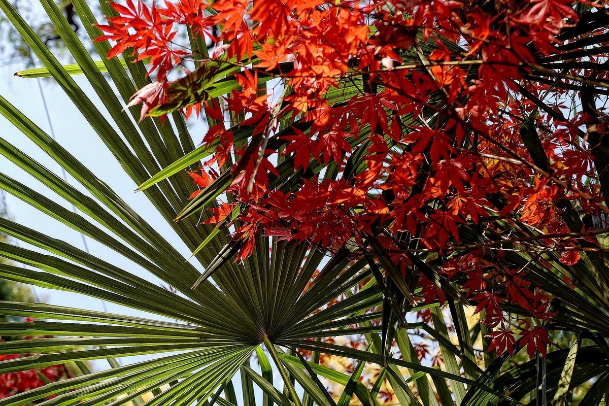 宝通寺的风光四