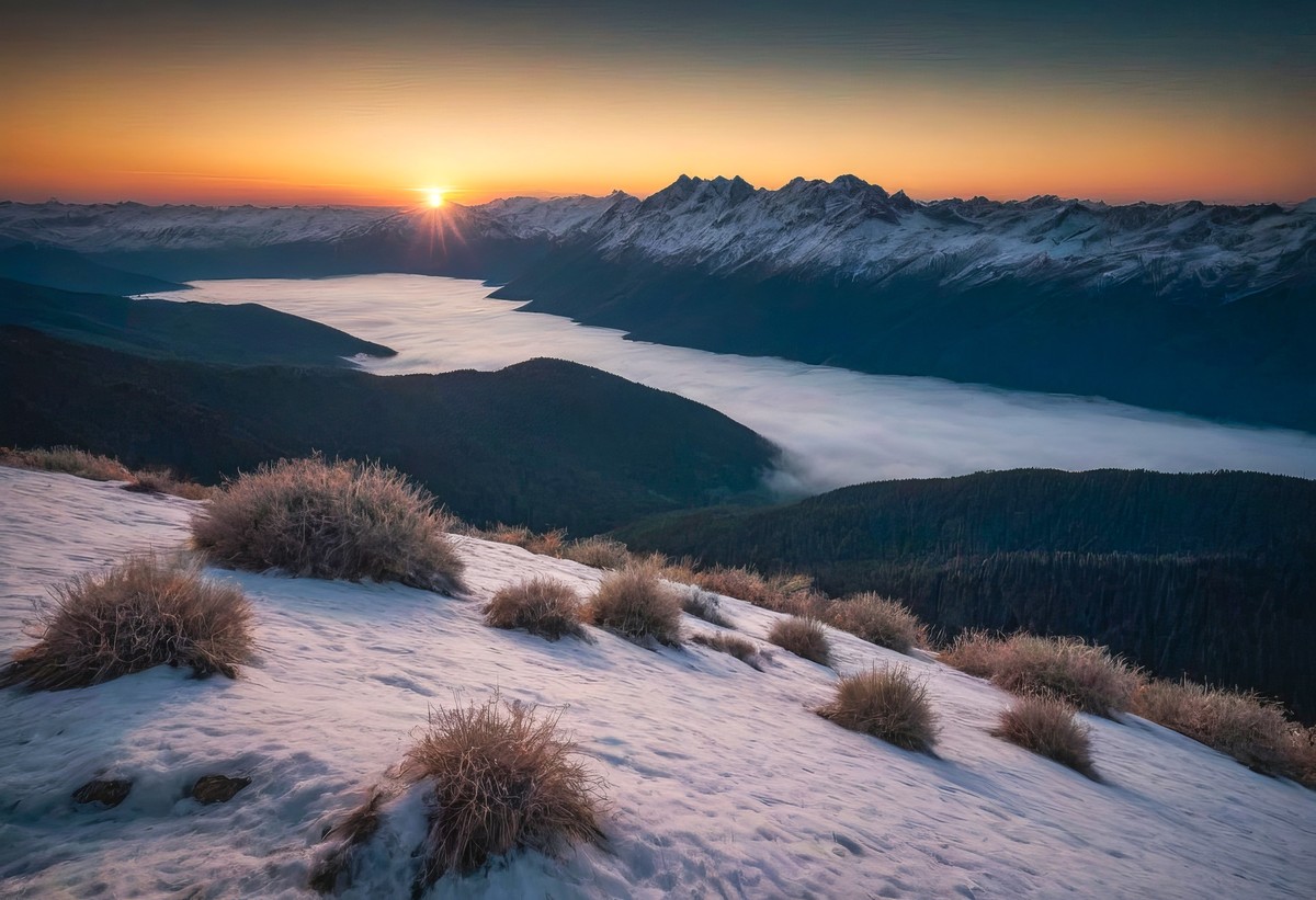 让心灵得以栖息