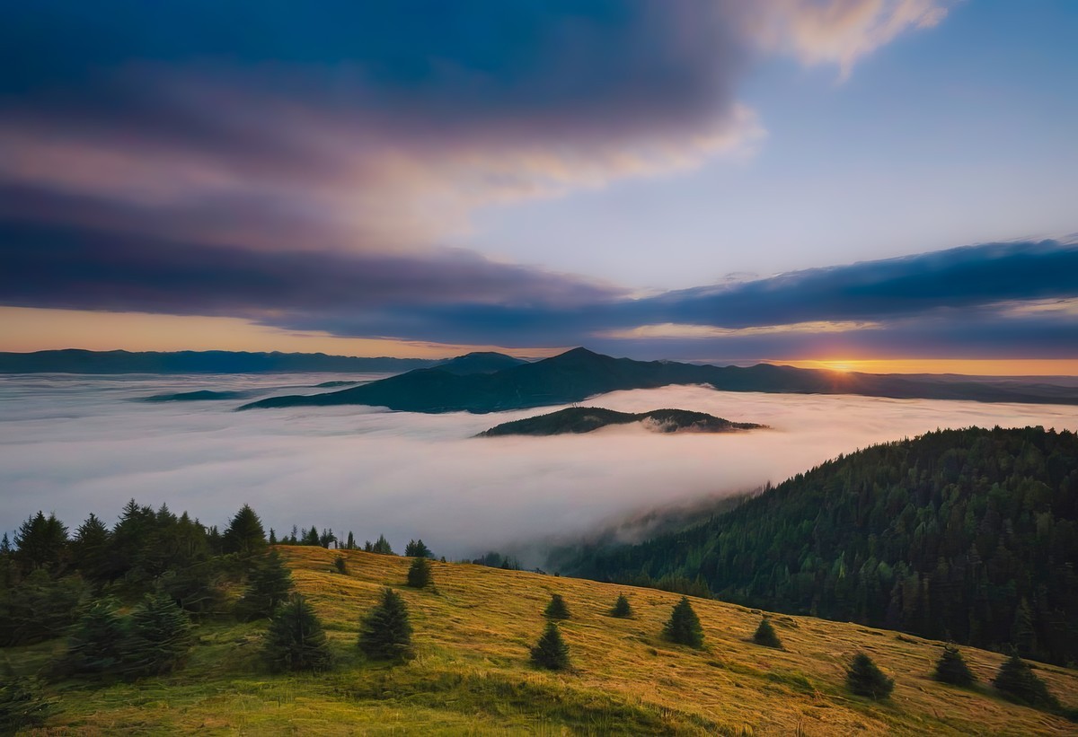 让心灵得以栖息