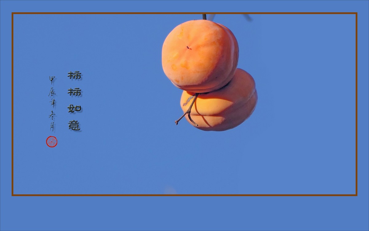 如意枝上挂柿柿，柿柿悬挂如意枝