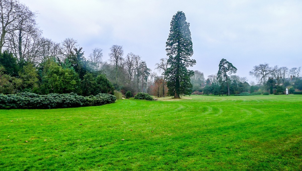 游拍“枫丹白露宫”