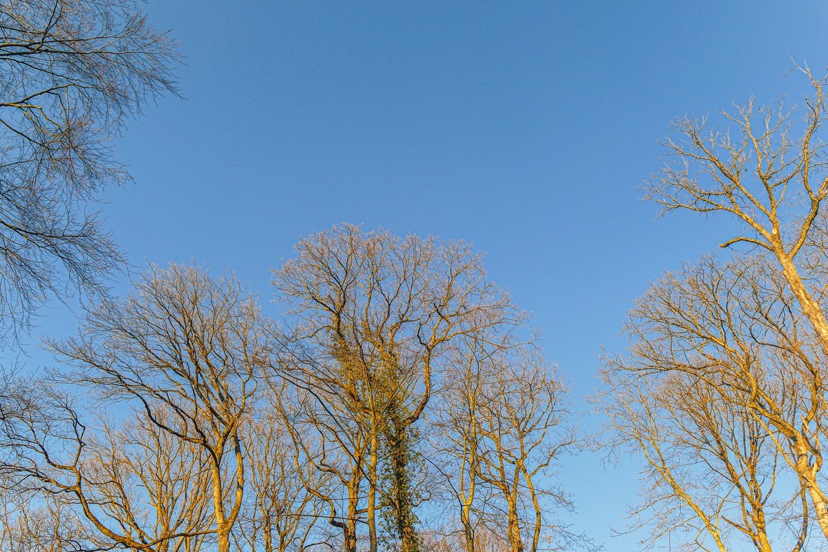 冬去春来--黑森林