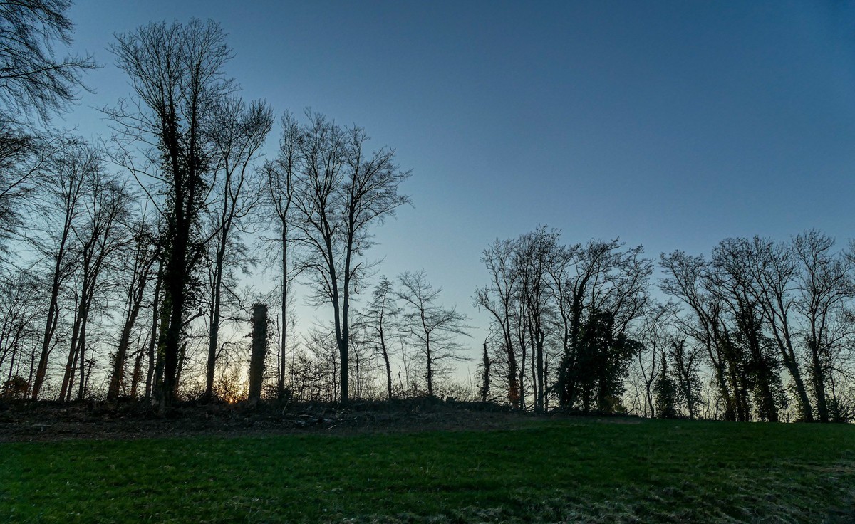 冬去春来--黑森林