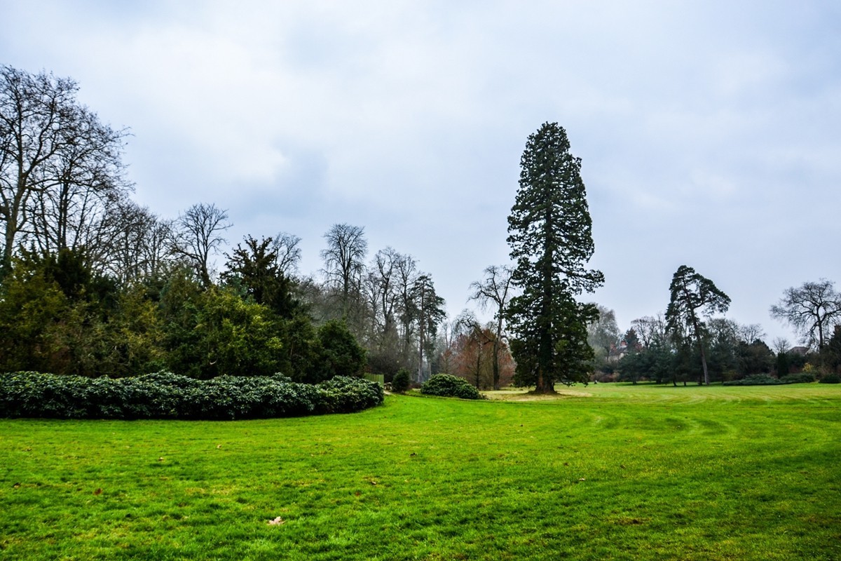 游拍“枫丹白露宫”