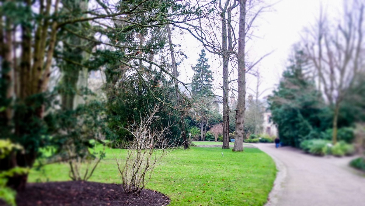 游拍“枫丹白露宫”