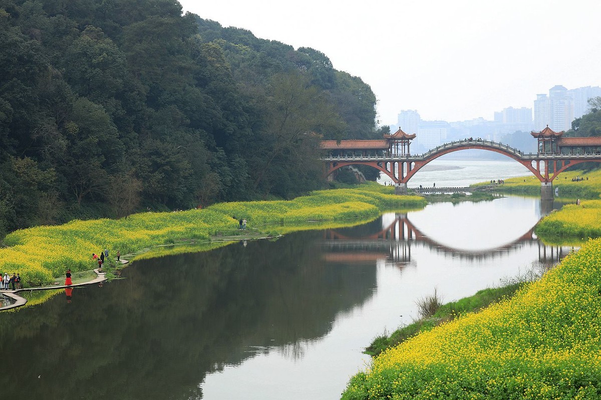 麻浩油菜花【六】2025.068