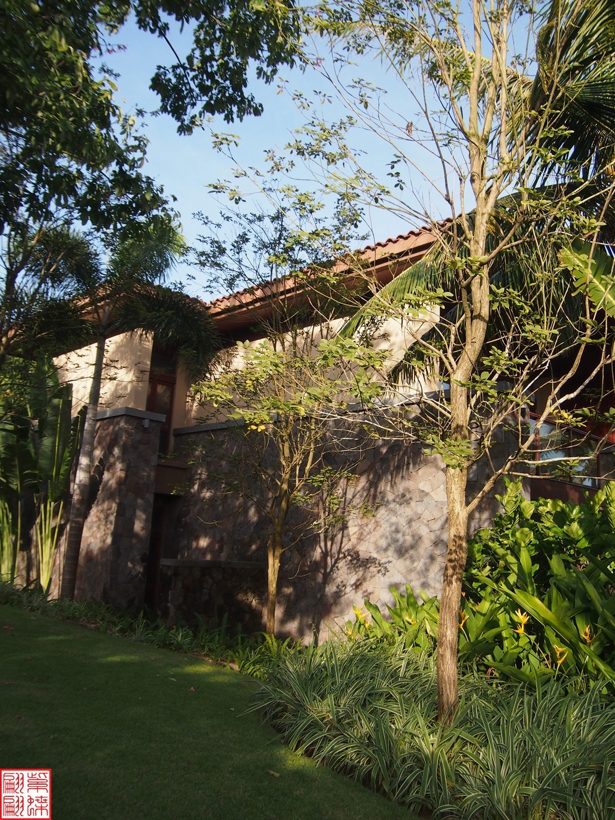 2023.11.19海南旅游随拍（4）