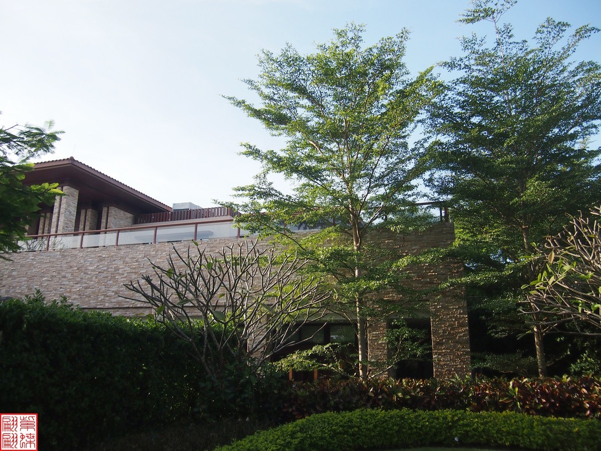 2023.11.19海南旅游随拍（4）