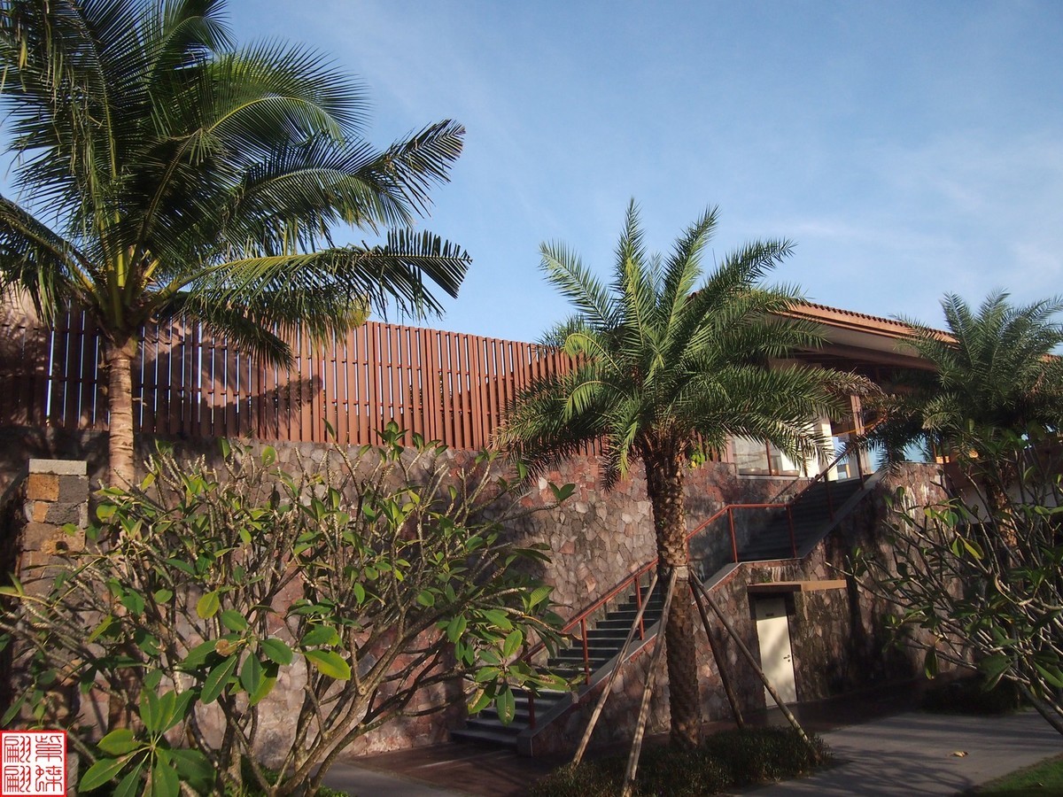 2023.11.19海南旅游随拍（4）