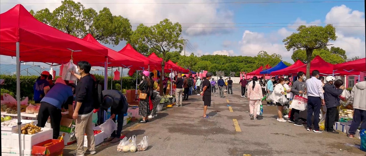 手机视频截图 魔都刚刚燃起的人间烟火气息