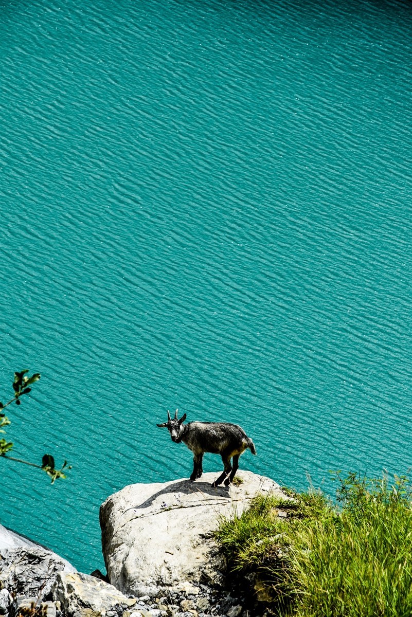 踏山观水瑞士行