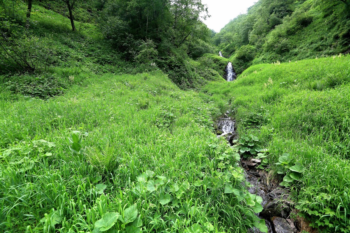 2023年拍长白山岳桦双瀑-中关村在线摄影论坛