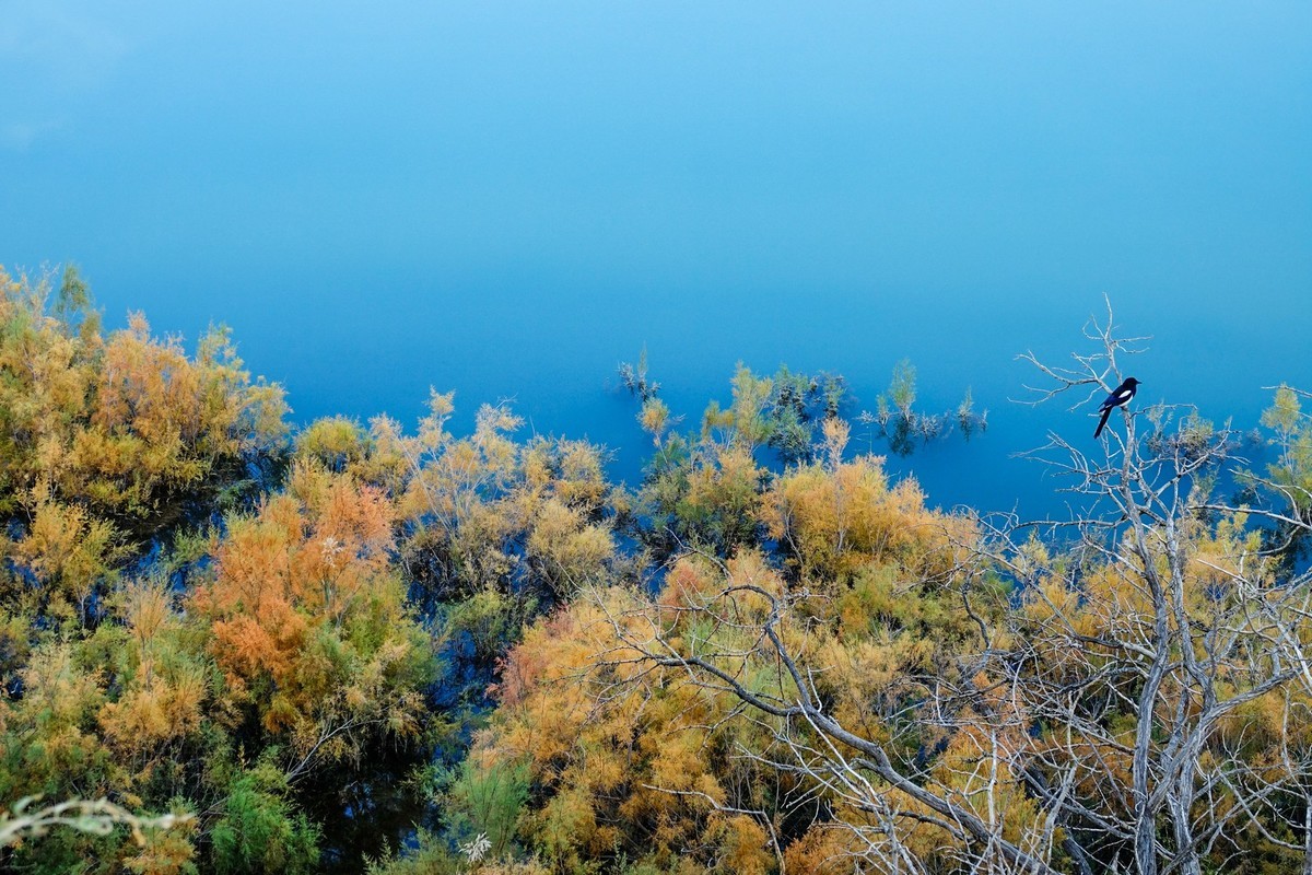 十一出去溜达之玉门赤金峡（上）