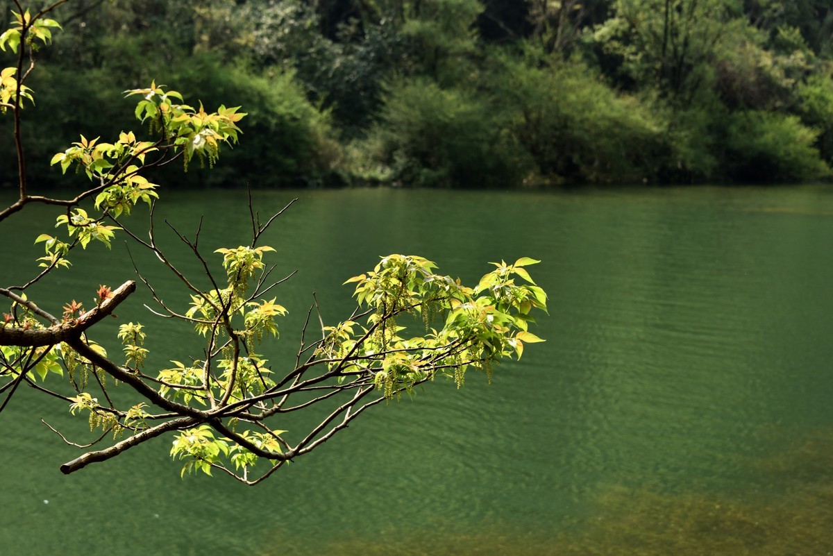 罗平九龙瀑布群风光【2】
