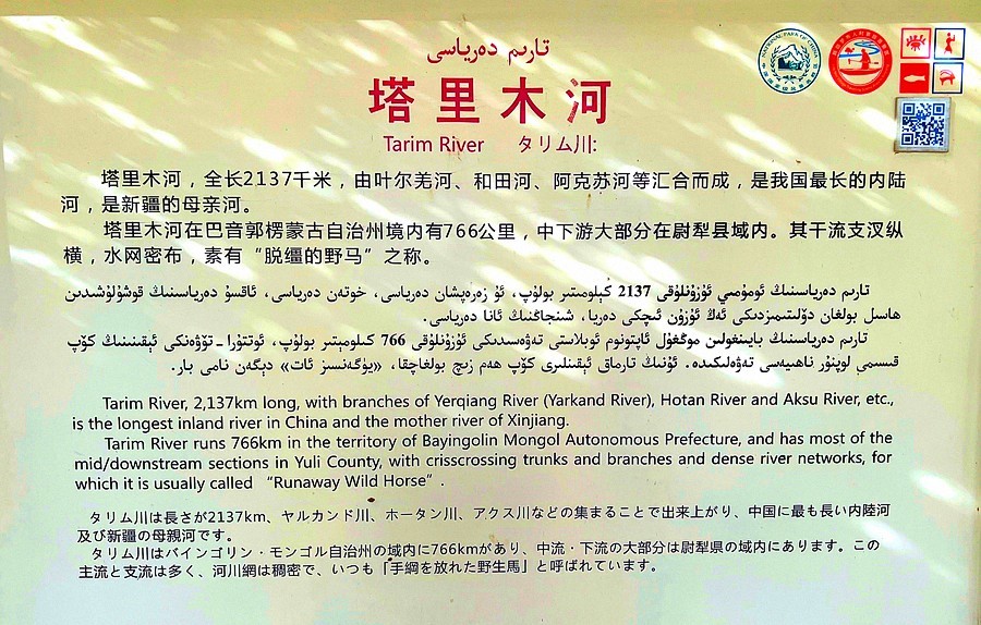 《不老松：纪实摄影》【山河锦绣】南疆游摄！(5)尉犁县罗布人村寨塔里木河！
