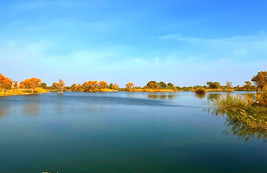 《不老松：纪实摄影》【山河锦绣】南疆游摄！(5)尉犁县罗布人村寨塔里木河！