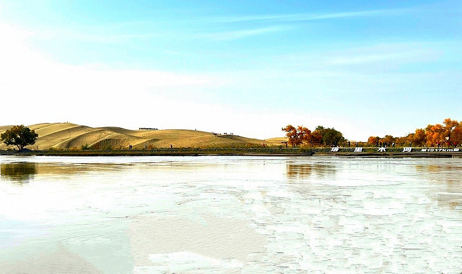 《不老松：纪实摄影》【山河锦绣】南疆游摄！(5)尉犁县罗布人村寨塔里木河！