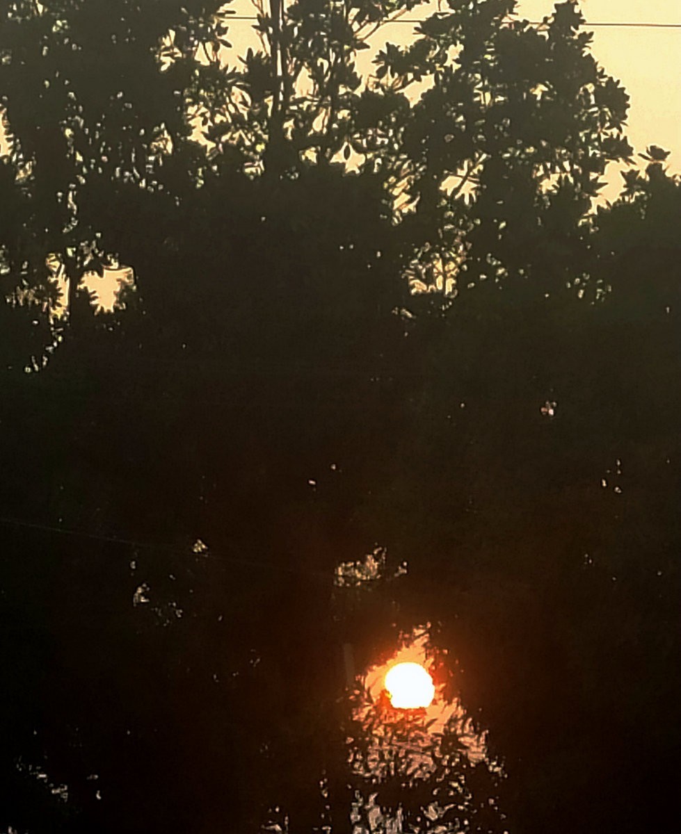 漫步星城 走街串巷（314）疫情期间:全民歌声温暖人心