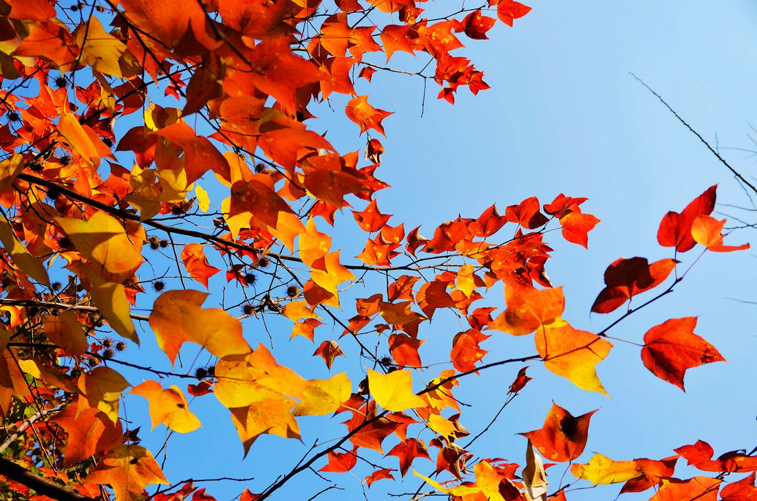 贵州安顺文武庙，儒林路