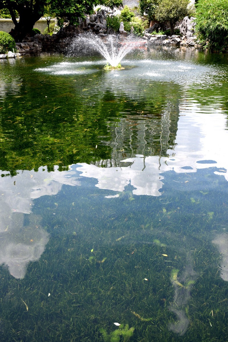 2023秋 广东行（15）岭南水乡韵味