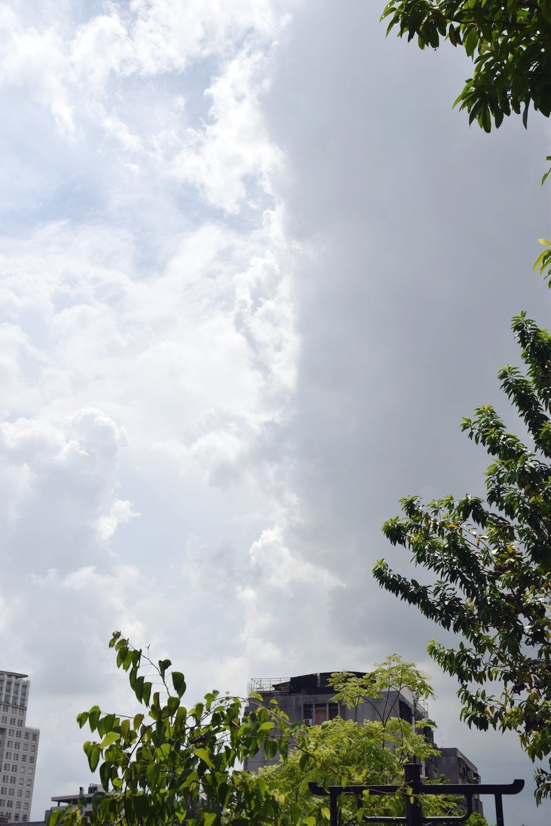 2023秋 广东行（15）岭南水乡韵味