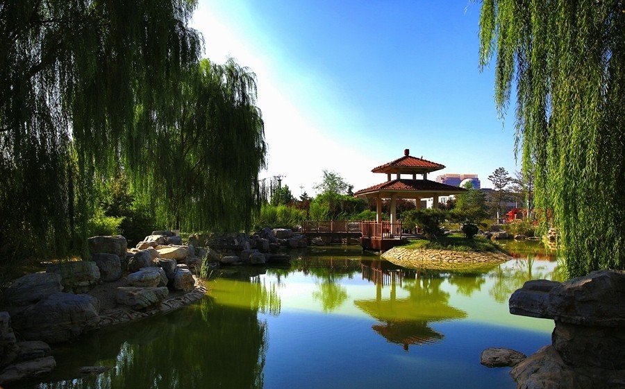 《不老松：纪实摄影》大美沧州系列報道：(2)街景、公园景！好看就拍！