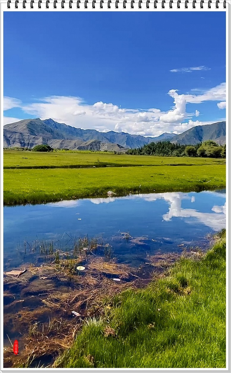 2024年-伊利风光纪实抓拍-0629