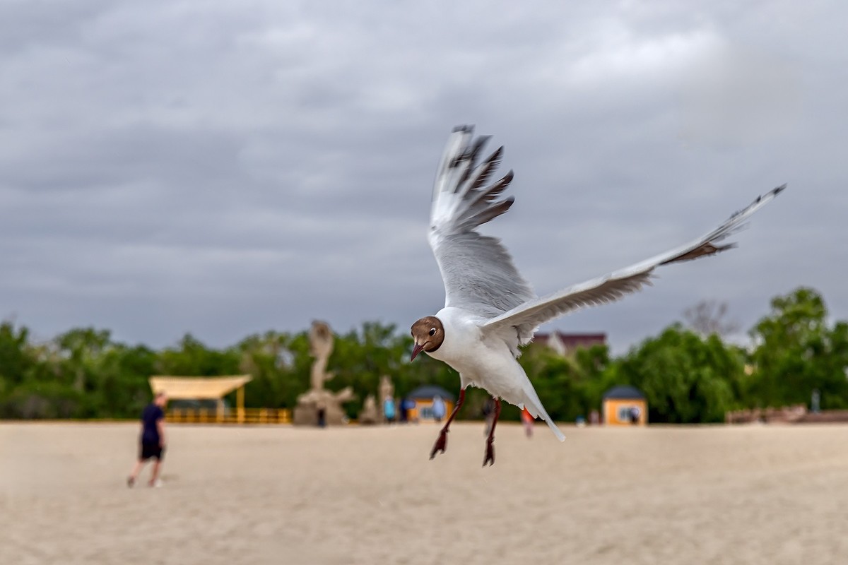旅游记录 ：新疆 · 巴音郭楞 · 和硕 · 金沙滩