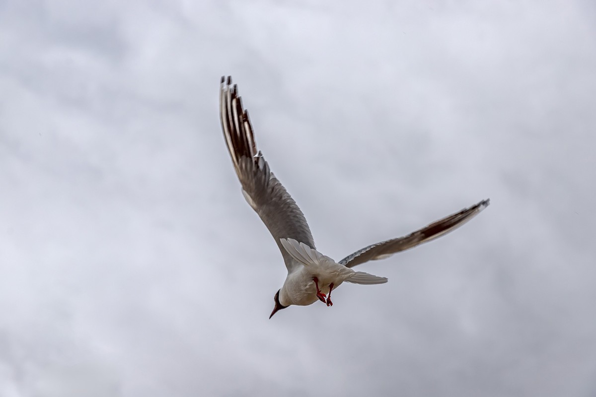 旅游记录 ：新疆 · 巴音郭楞 · 和硕 · 金沙滩