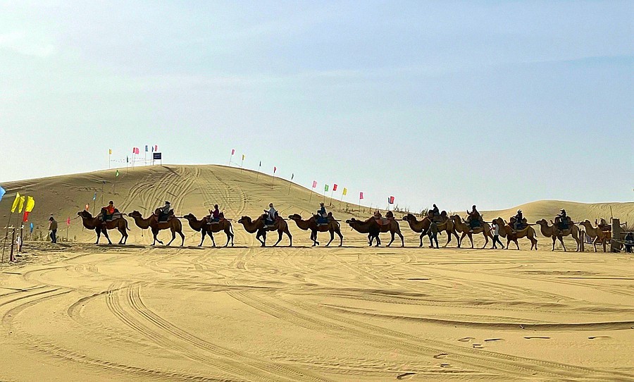 《不老松：纪实摄影》【山河锦绣】南疆游摄！(6)尉犁县罗布人村寨大漠驼隊！