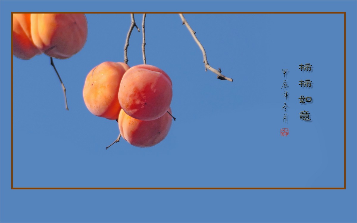 如意枝上挂柿柿，柿柿悬挂如意枝