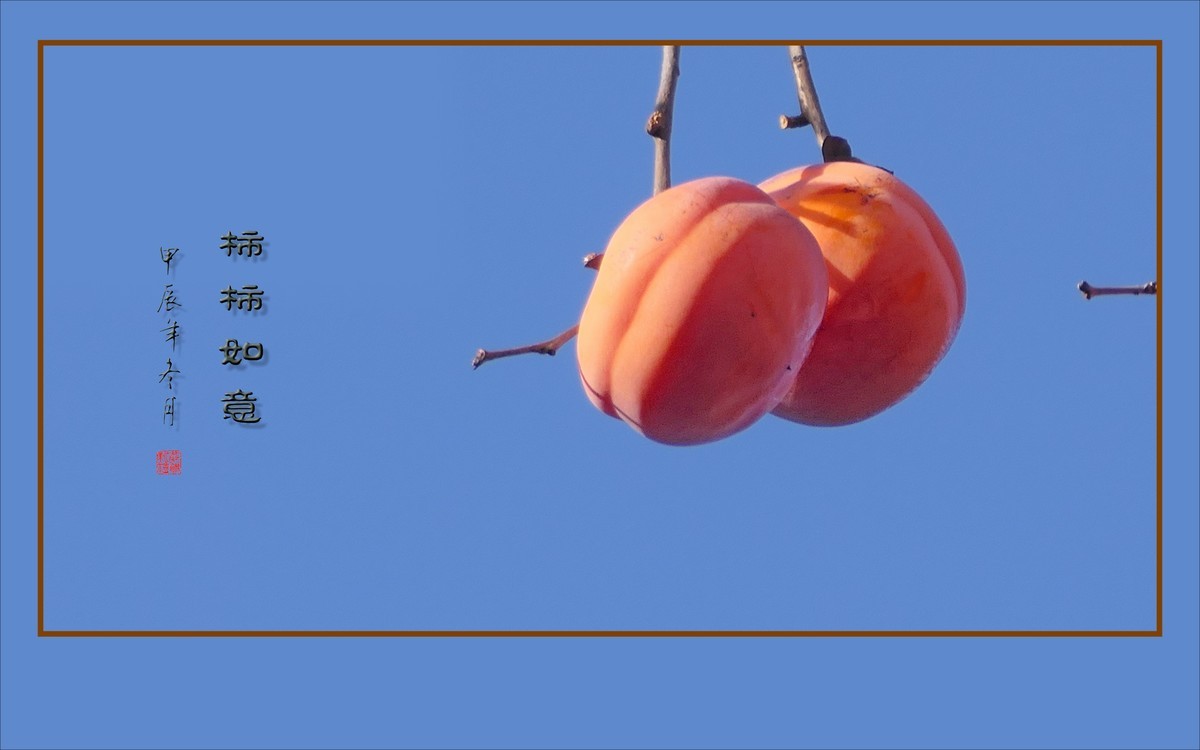 如意枝上挂柿柿，柿柿悬挂如意枝