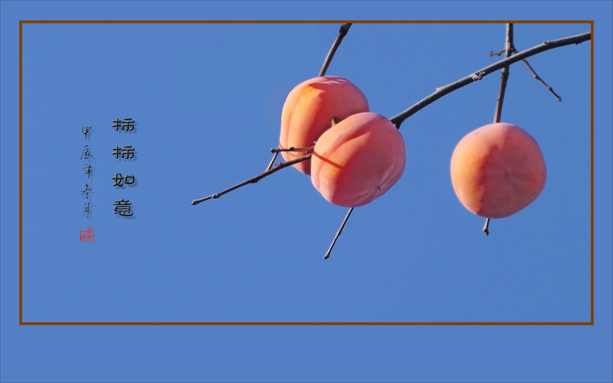 如意枝上挂柿柿，柿柿悬挂如意枝