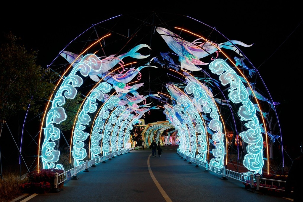 2025年粤港澳大湾区灯会