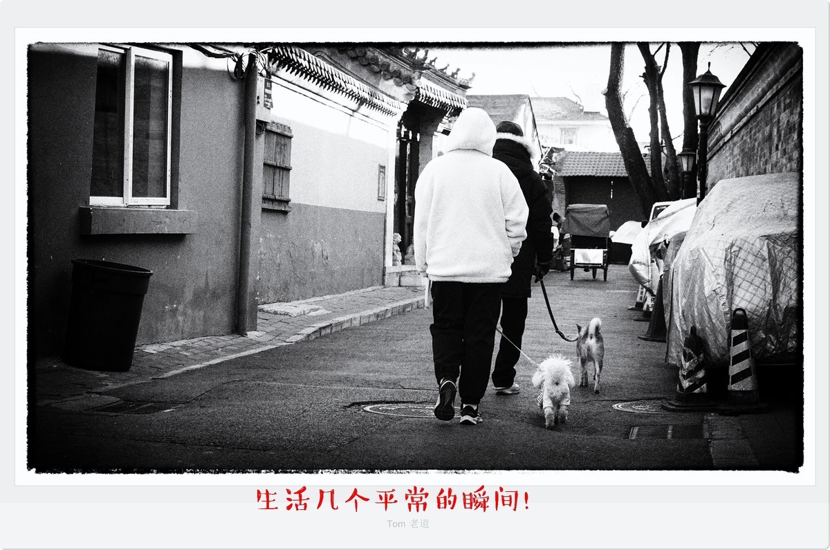 生活几个平常的瞬间!-中关村在线摄影论坛