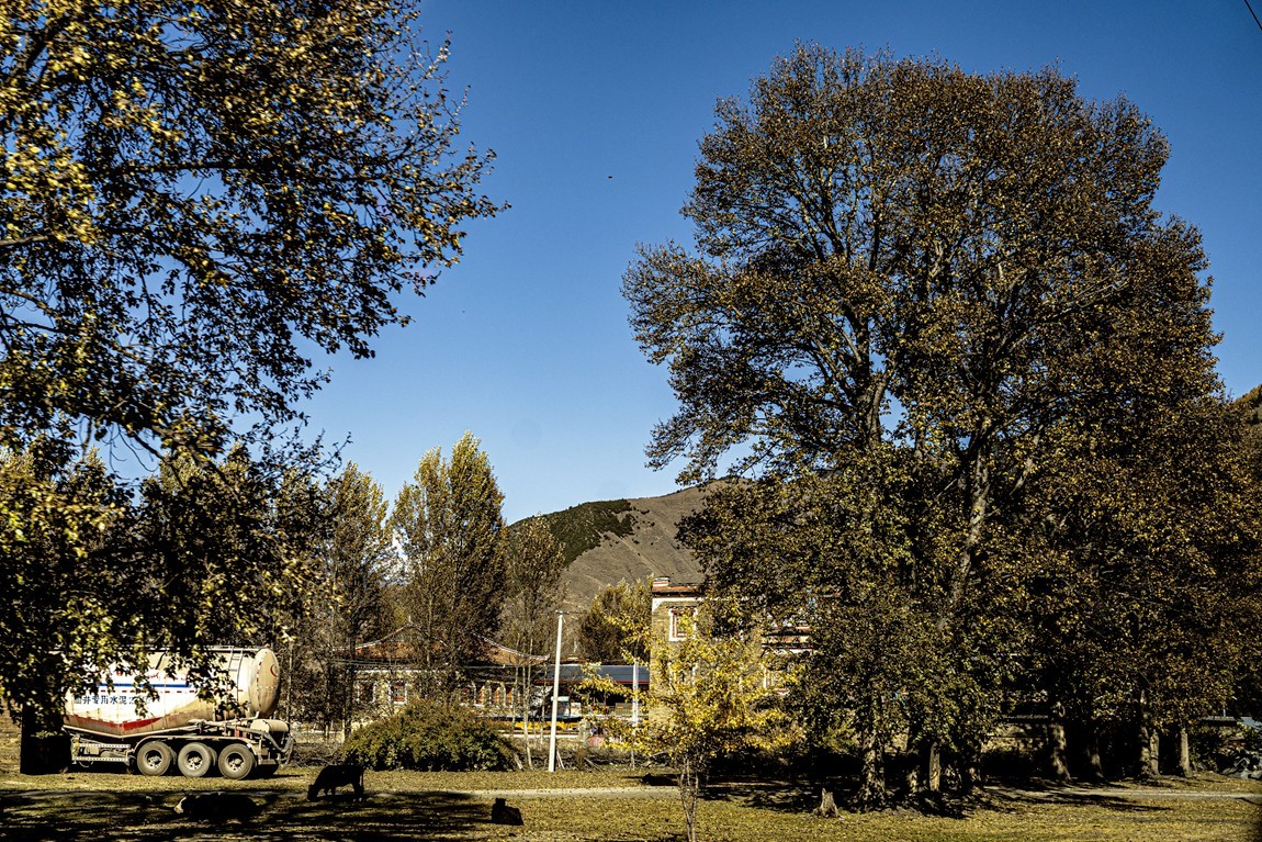 行走在318国道--新都桥段【2】