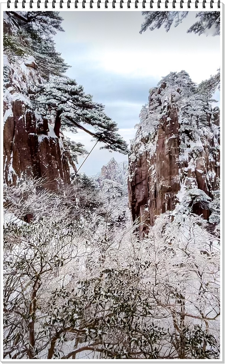 2025年- 黄山风光纪实抓拍-0314