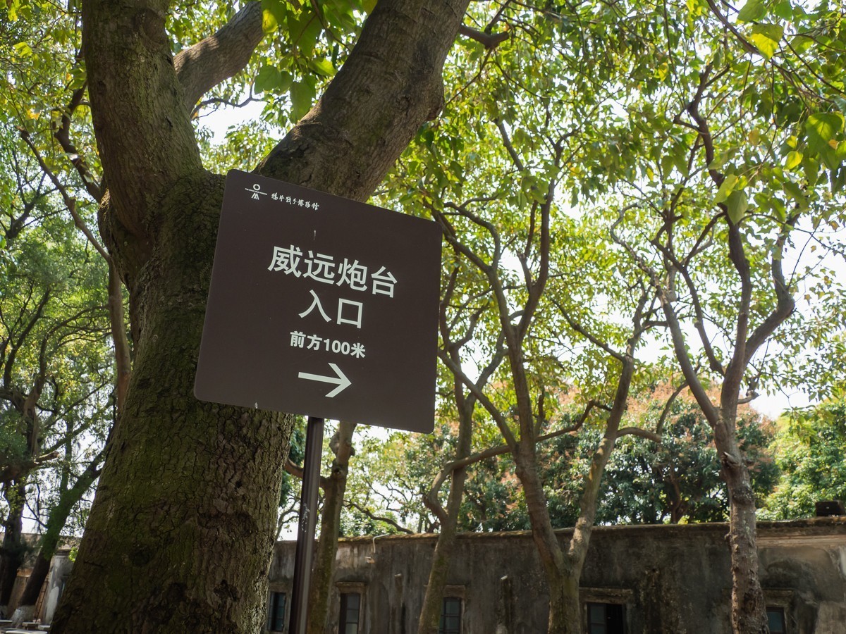 练手