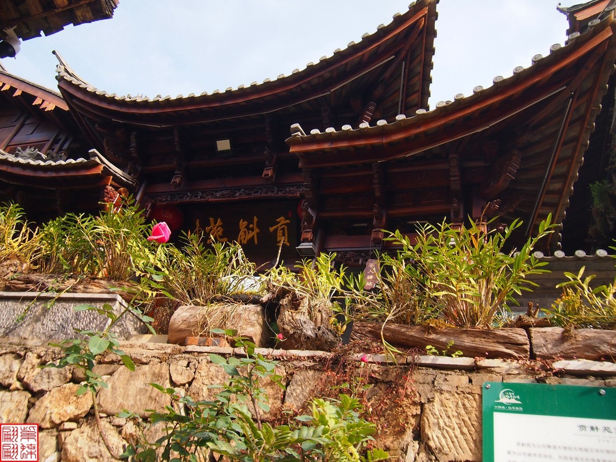 2023.12.21仙草秘境(7）