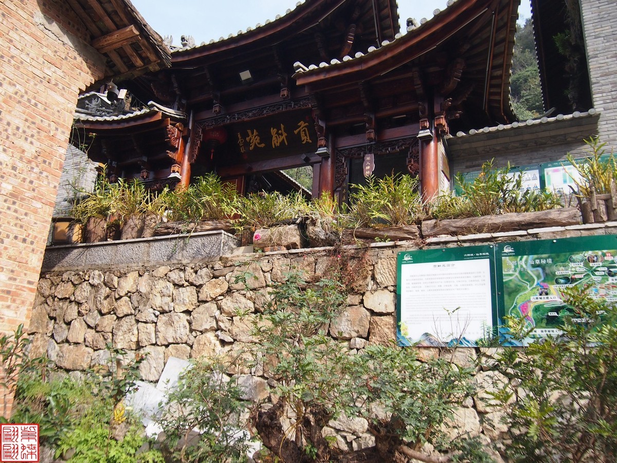 2023.12.21仙草秘境(7）