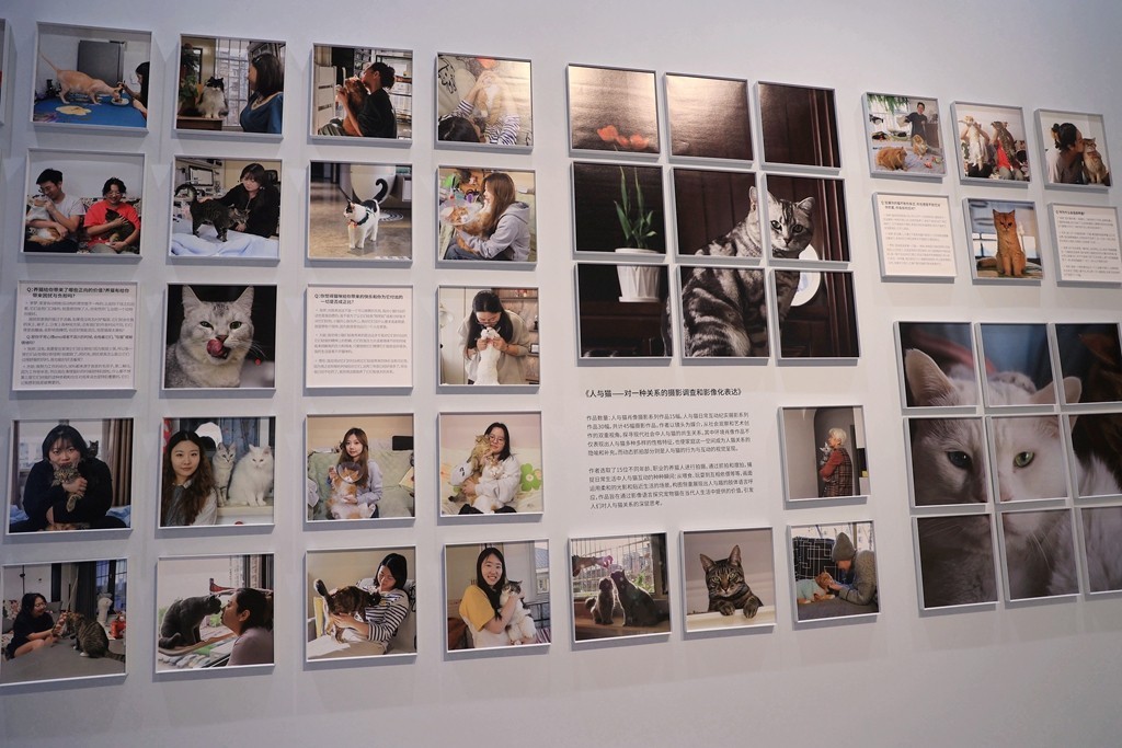 中国艺术研究院2025届美术，设计研究生毕业作品展