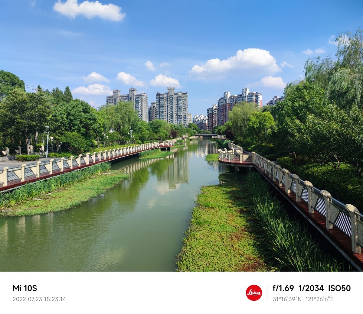 大伏天看荷花池