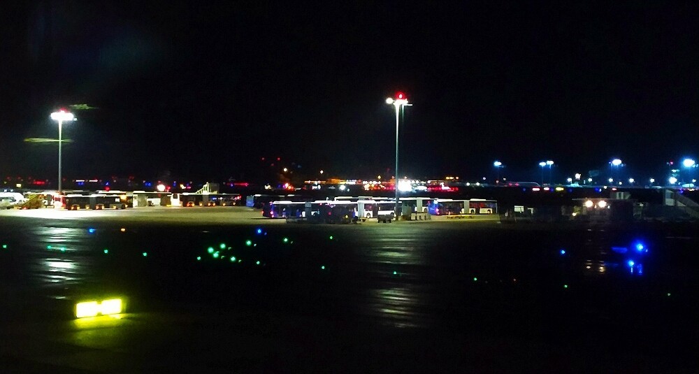 法兰克福机场 / 2019