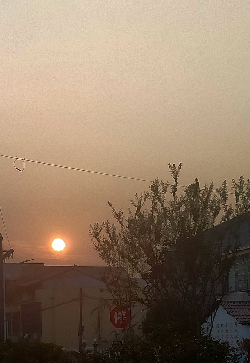 漫步星城 走街串巷（314）疫情期间:全民歌声温暖人心